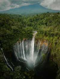 Majestic Beauty at Tumpak Sewu