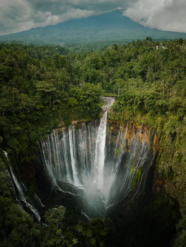 Majestic Beauty at Tumpak Sewu