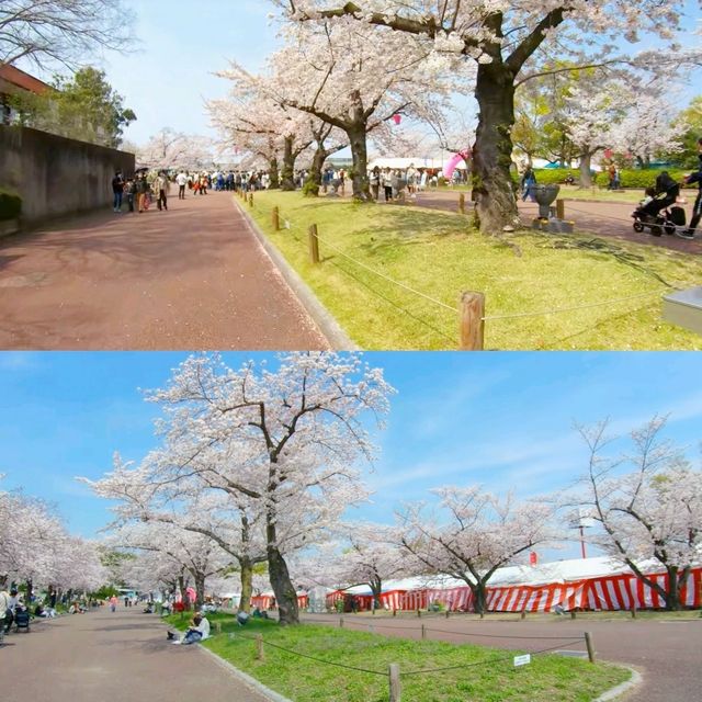 大阪景點