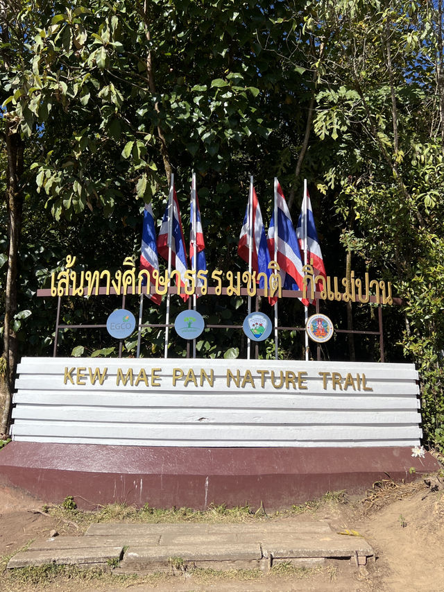 จุดชมวิวกิ่วแม่ปาน