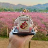 Hokkaido Flower Park Khaoyai 