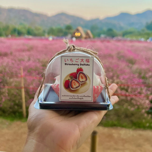 Hokkaido Flower Park Khaoyai 