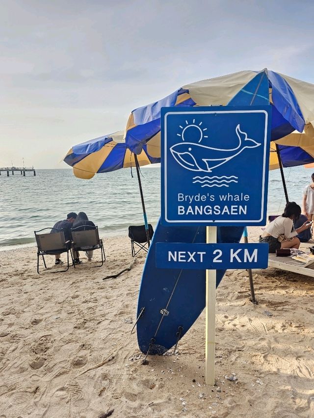Tiny island cafe : Bangsaen 