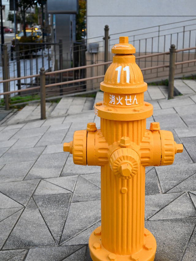 【函館】八幡坂周辺ぶらりお散歩