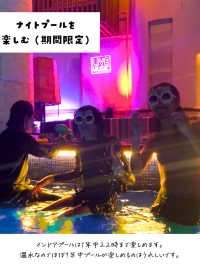 ２泊3日で楽しむ沖縄旅行プラン