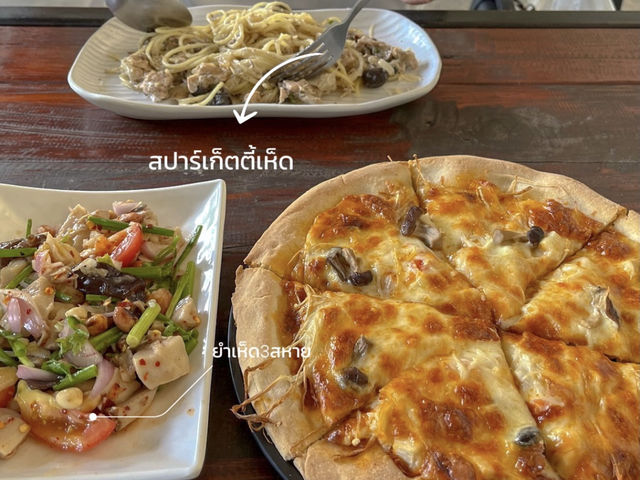 ฟาร์มเห็ดบ้านหัวน้ำ อำเภอปัว จ.น่าน 🍄