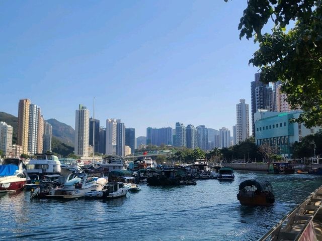 📸 【鴨脷洲半日遊:漁港文化×海風美食×逃離人潮の治癒路線!🚤🌿 📸 【鴨脷洲半日遊:漁港文化×海風美食×逃離人潮の治癒路線!🚤🌿