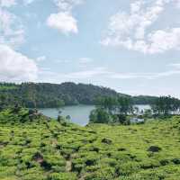 Breathtaking Serenity at Patenggang Lake