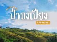  ชวนแบกเป้ไปนอนกลางนาขั้นบันไดที่ “ป่าบงเปียง”🌾