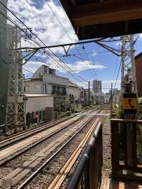 🇯🇵東京特色尋寶之地 – 巢鴨🪿地藏通商店街