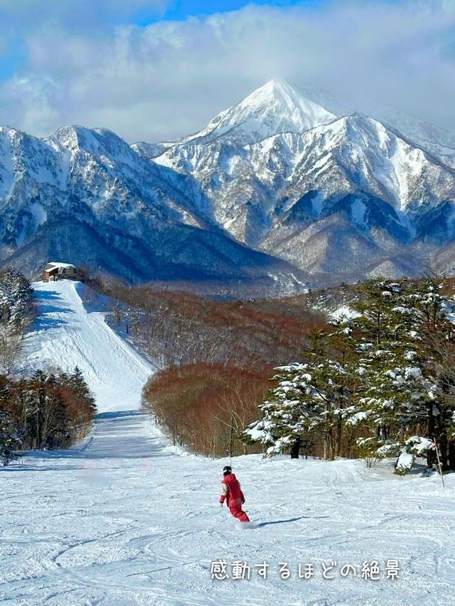 【長野／戸隠】日本百名山、高妻山を見ながら滑る「戸隠スキー場」⁡