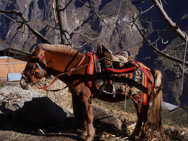 Epic Adventure: 2-Day, 1-Night Hike at Tiger Leaping Gorge 🏞️⛰️
