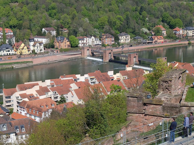  Heidelberg ปราสาทไฮเดิลแบร์ค เยอรมัน