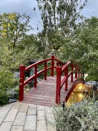 🇨🇳 Shanghai's Secret Garden: Escape the Crowds at Expo Cultural Park