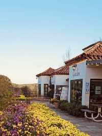 Jeju Island East & West Sightseeing Guide: Must-Visit Tourist Spots