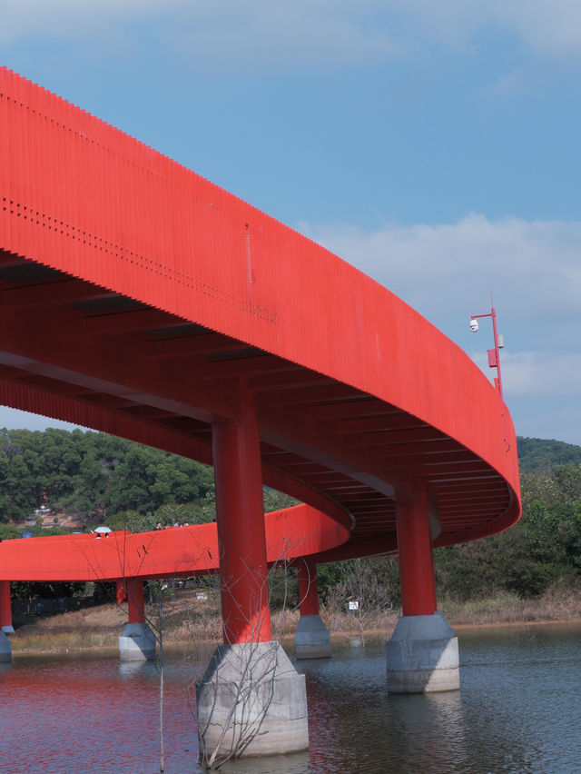 深圳虹橋公園：叢林中紅飄帶 