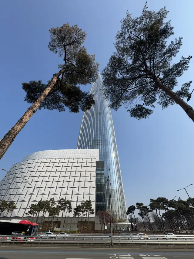 驚艷之旅:樂天世界塔的美好瞬間 🌟