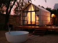 Mollusc Glamping ที่พักติดทะเล