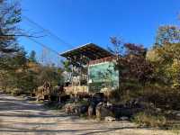 A Hiker’s Paradise: Seoraksan National Park Adventure