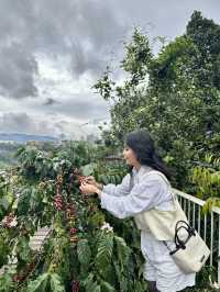 Tam Trinh Coffee in Da Lat 