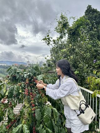 Tam Trinh Coffee in Da Lat 