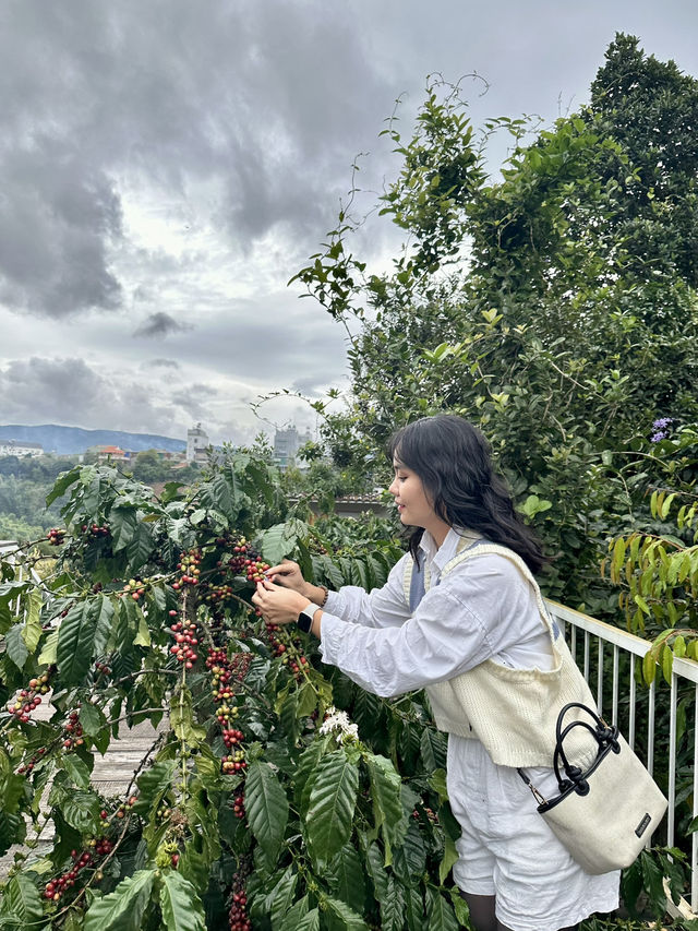 Tam Trinh Coffee in Da Lat 