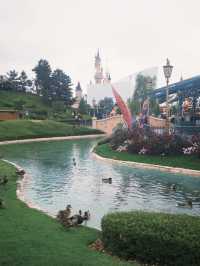 ✨ A Magical Day at Disneyland Paris! ✨