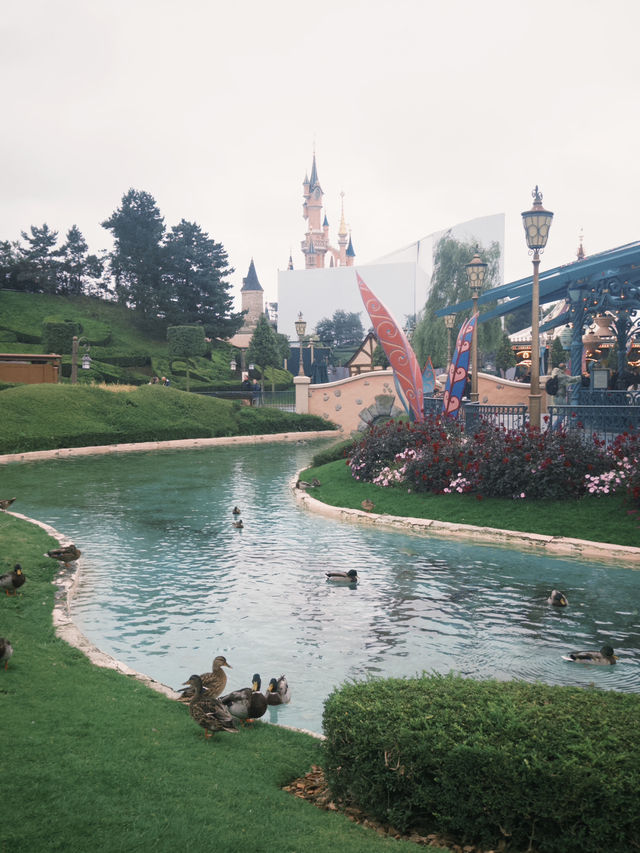 ✨ A Magical Day at Disneyland Paris! ✨