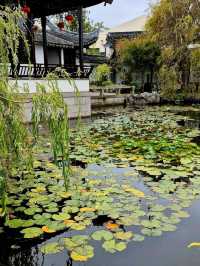 新西蘭但尼丁市中國花園～華人的驕傲