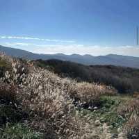 Hallasan National Park