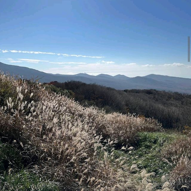 Hallasan National Park