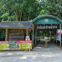 ป่าต้นน้ำบ้านน้ำราด 