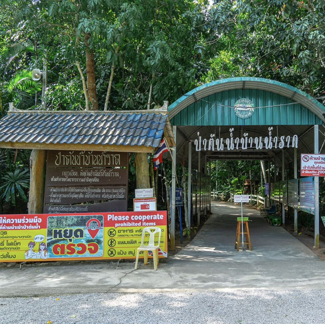 ป่าต้นน้ำบ้านน้ำราด 