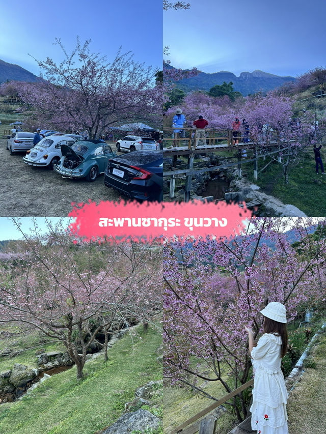 ✨ห้ามพลาด ที่เที่ยวธรรมชาติเชียงใหม่✅