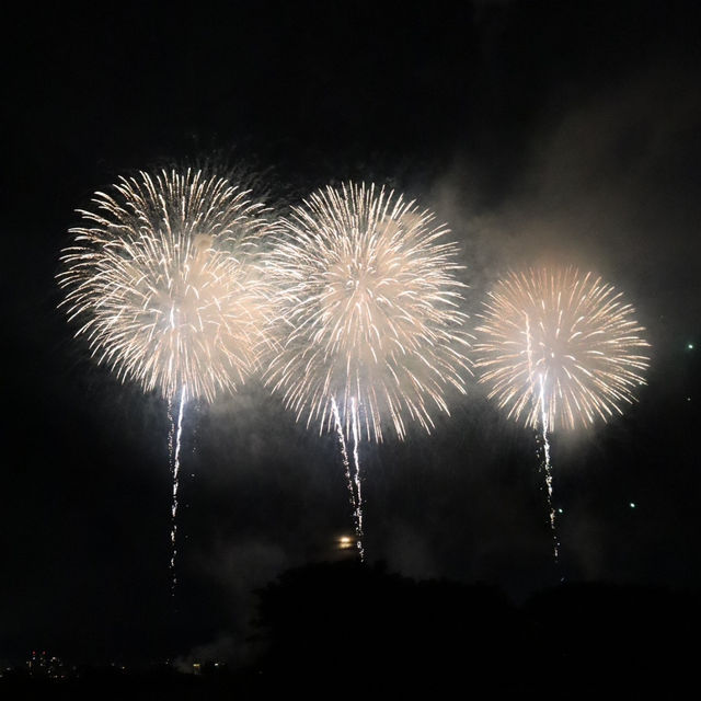 感動の『長岡花火大会』