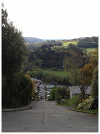 【NZ/ダニーデン】世界一急な坂‼︎＊ボルドウィン ストリート Baldwin St. ＊