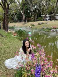 🫧🪻💐莫奈花園🌷🌺 🫧油畫一樣咁靚🖼️