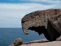 #Kangaroo Island 