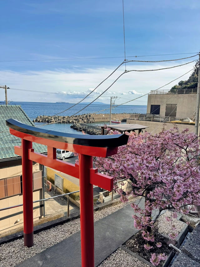 【熱海】超穴場スポット!!源泉を護る神社・走湯神社