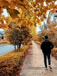 Where to stay in Rembrandt Style Gotemba Komakado