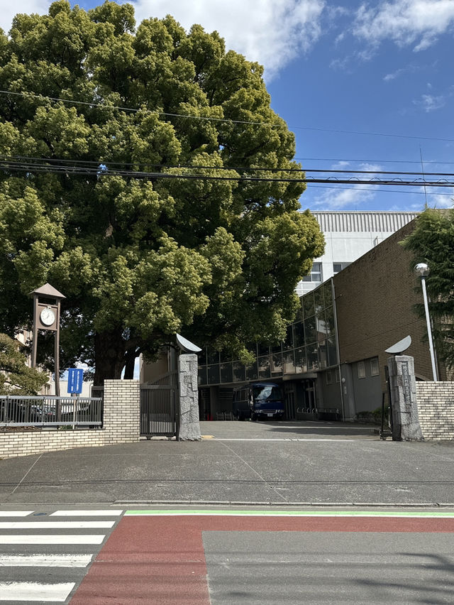 東京川越一日遊分享：動漫元氣少女結緣神打卡攻略！