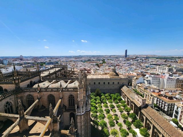 [🇪🇸セビージャ] セビージャ大聖堂のヒラルダの塔登頂体験