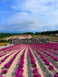 여름에 꼭 가야하는 비에이투어 코스 소개