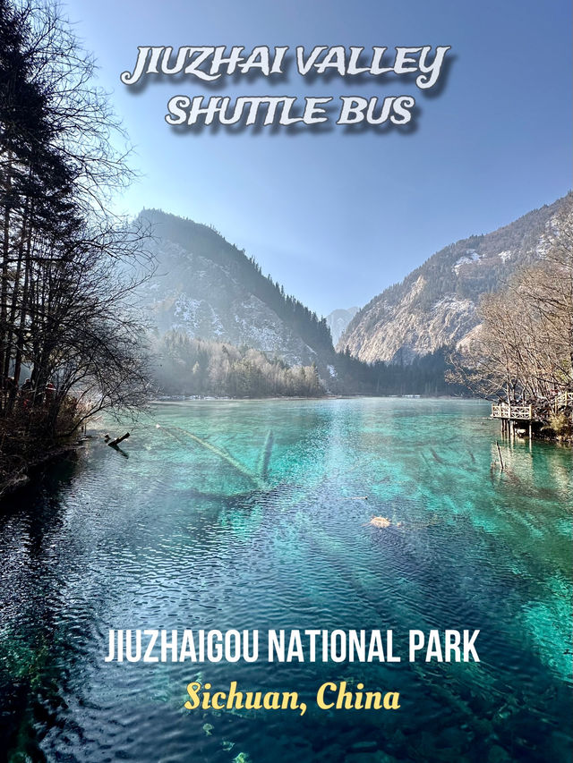 Shuttle bus🚎 จองผ่าน Trip เที่ยวง่ายๆด้วยตัวเอง