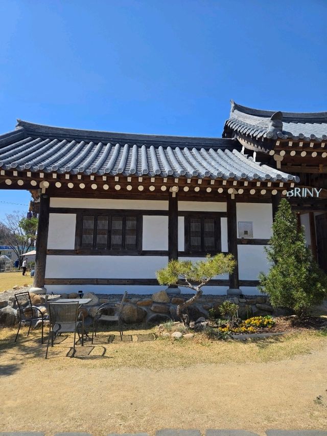 봄여행으로 좋은 팔공산 카페 브리니❤️