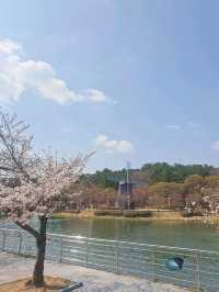 🌸 울산대공원 벚꽃 여행 🌸
