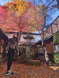 介紹日本岐阜縣飛驒高山