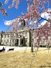 【山形×春旅】大正ロマン漂う旧県庁舎