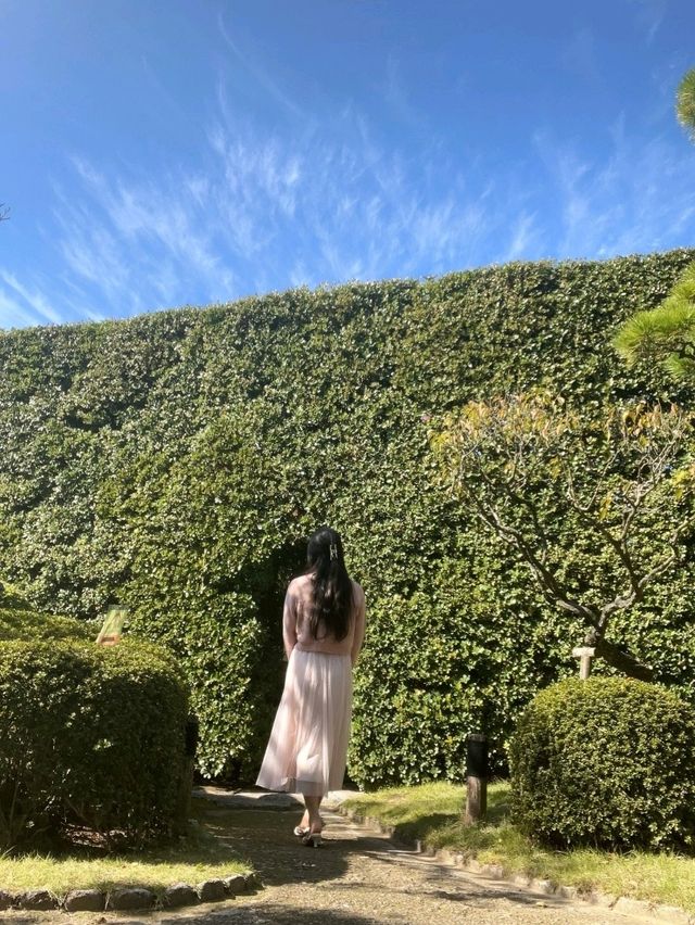 🌿 후쿠오카 오호리공원 속 숨은 명소, 일본정원 🌸