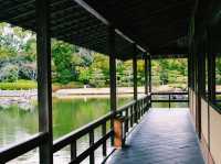 静寂と四季が彩る癒しの空間🌿⛲